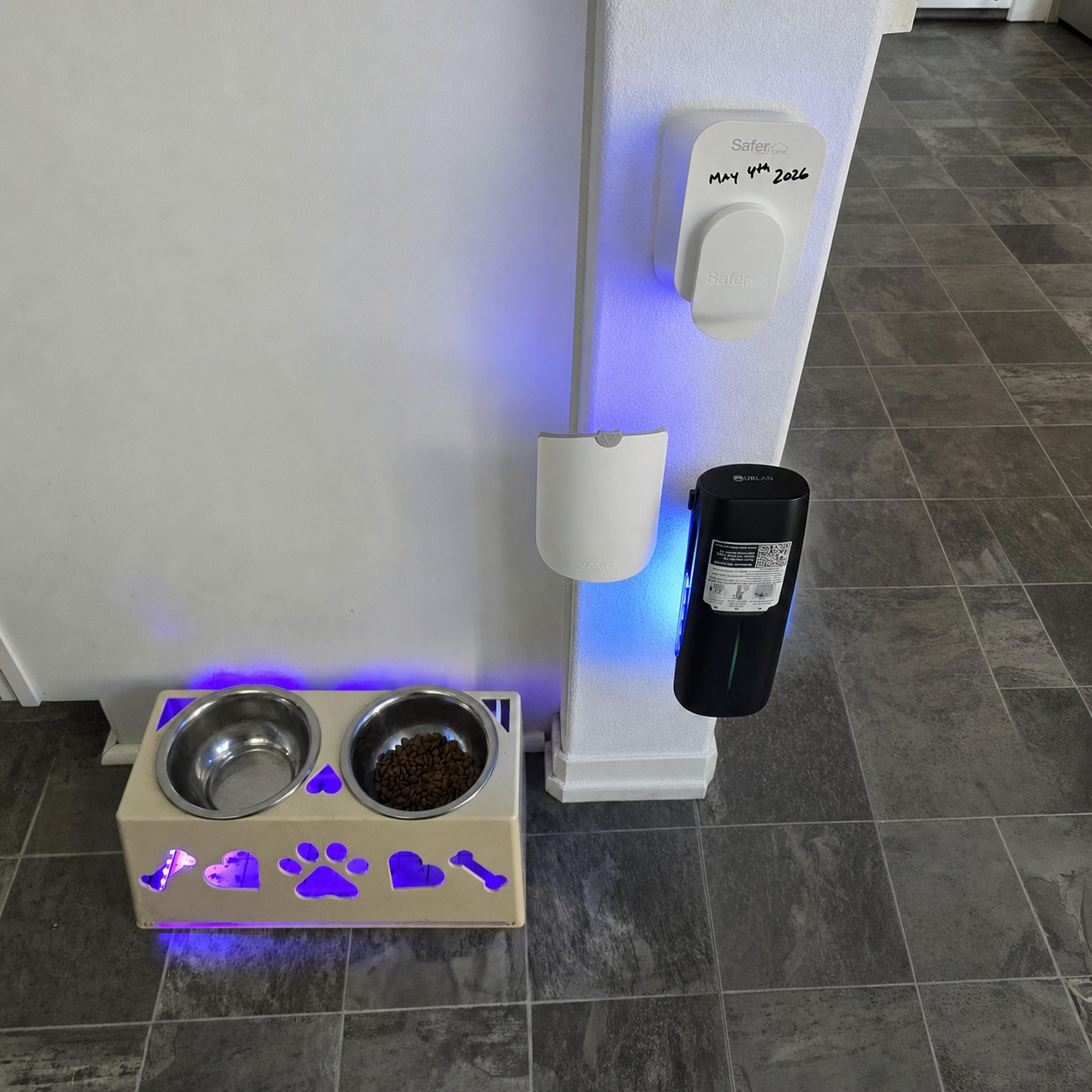 Test 2 setup showing Sticky Fly Bowl and competing fly traps running side by side in the same kitchen