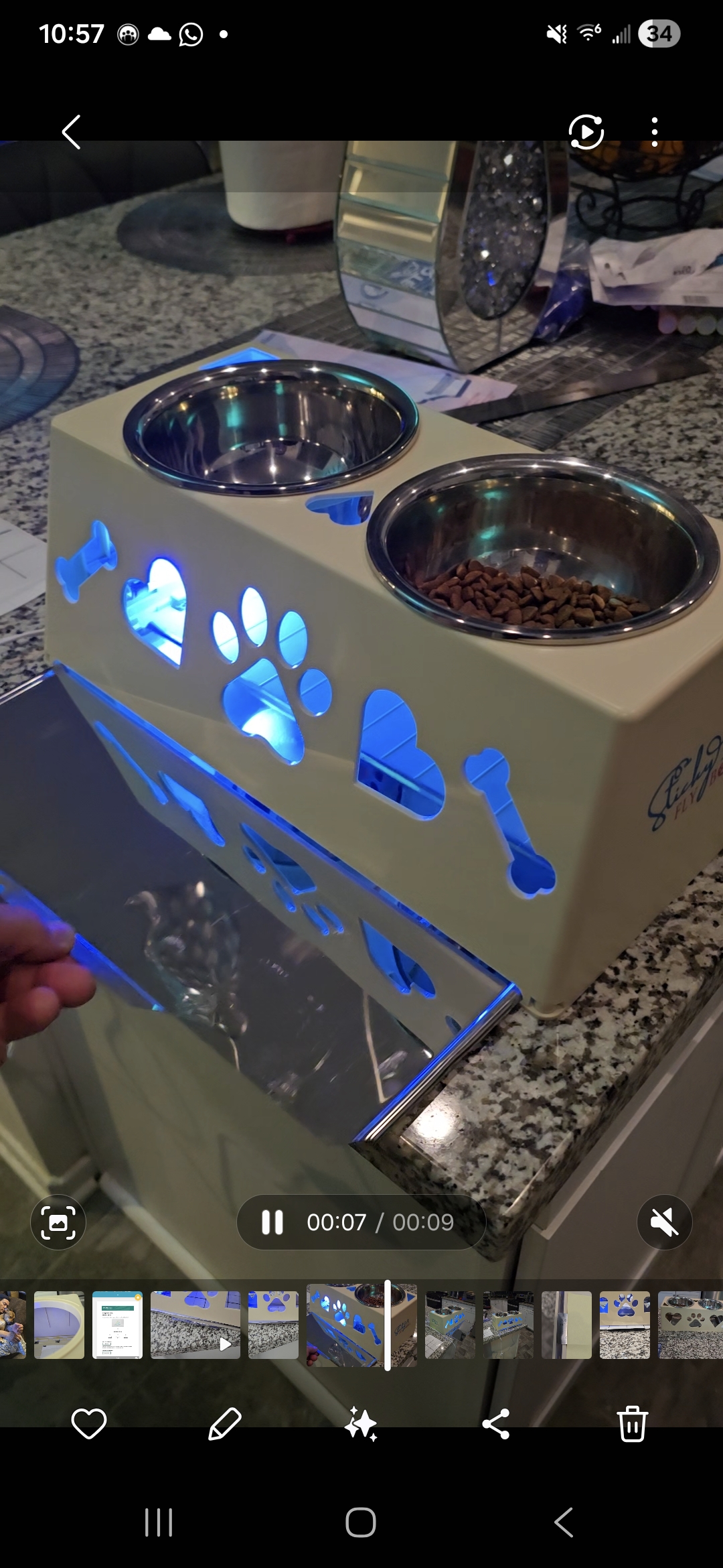 Sticky Fly Bowl slide-out glue board cartridge